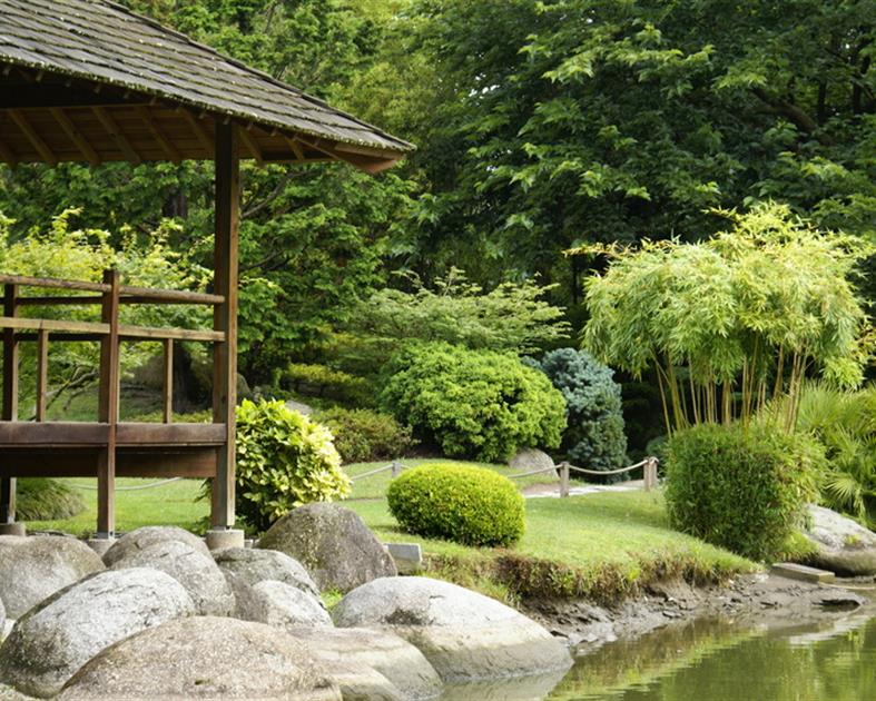 Le Jardin Oriental de Maulévrier - 
