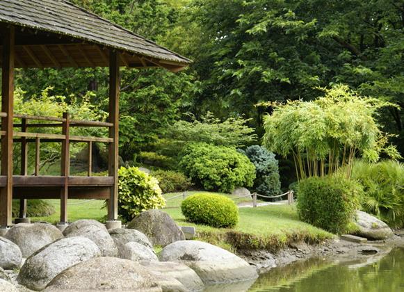 Le Jardin Oriental de Maulévrier - 