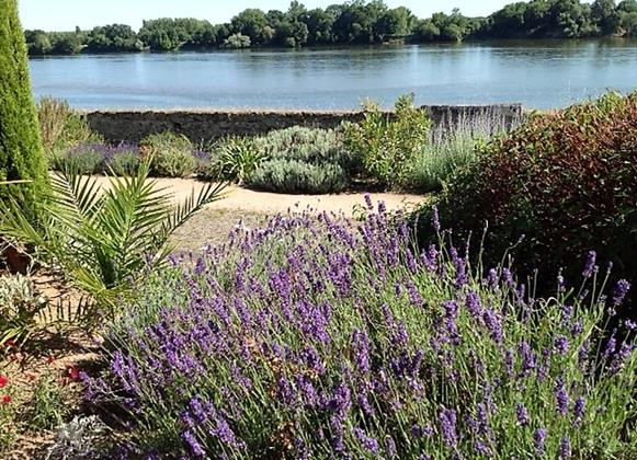 Tourisme - Au fil de l'eau le royalty angers 2 - 