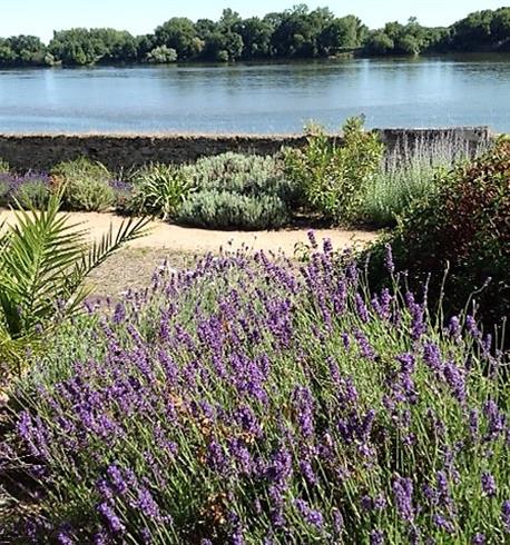 Tourisme - Au fil de l'eau le royalty angers 2 - 