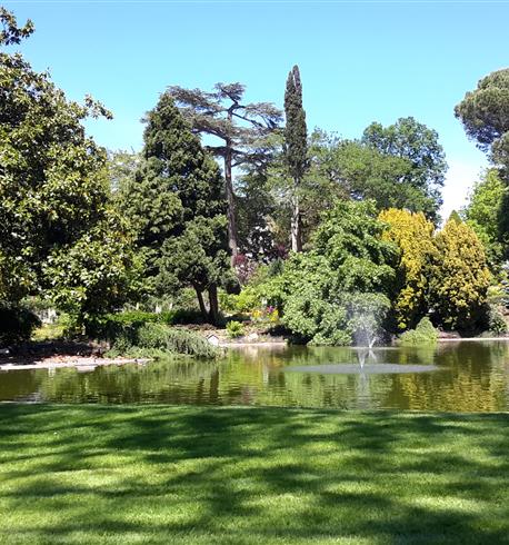 Le Jardin Botanique des Plantes à Angers - 