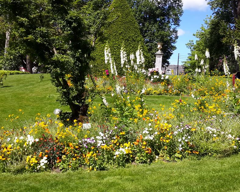 Le Jardin Botanique des Plantes à Angers - 