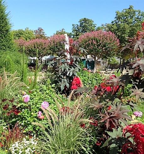 Les Jardins d'Angers Le Royalty Angers - 